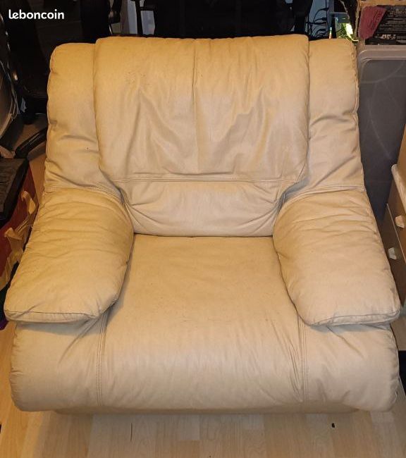 Fauteuil en cuir véritable (image 1)