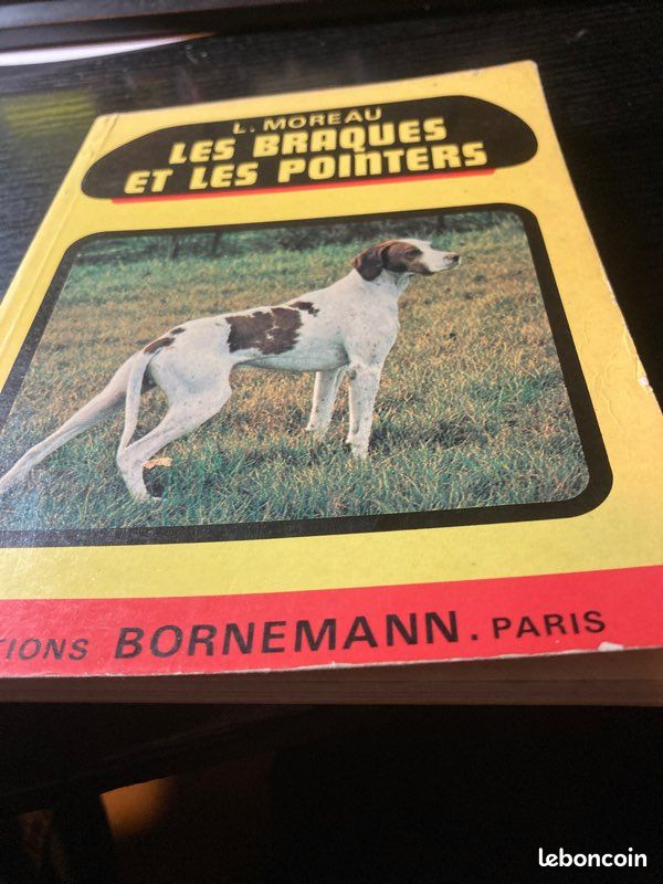Les braques et les pointers (image 2)