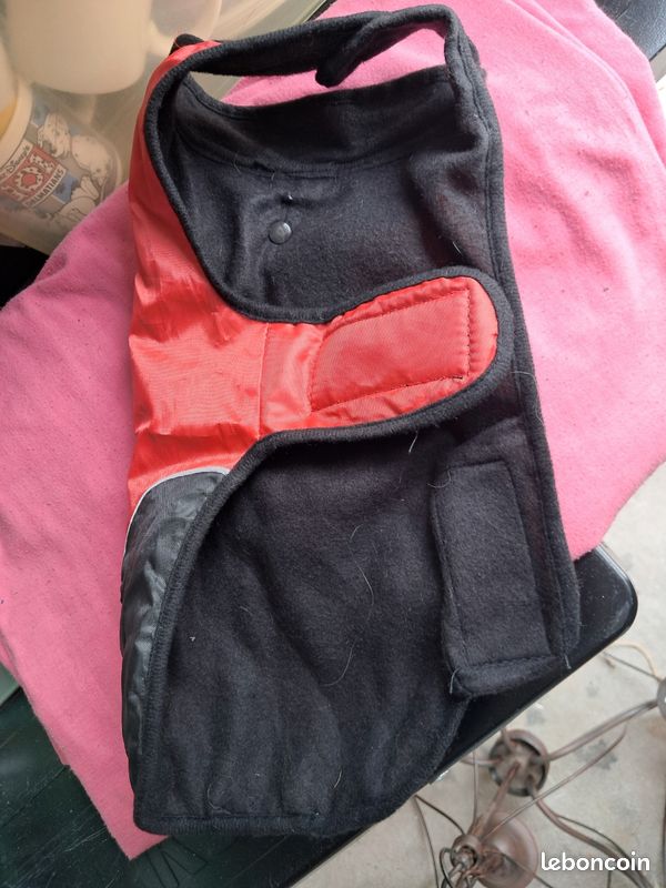 Manteau chien (image 2)
