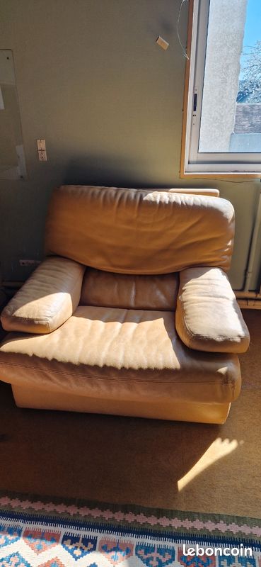 Ensemble canapé 2places + fauteuil Roche Bobois (image 1)
