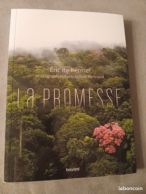 Eric de Kermel La promesse (image 1)