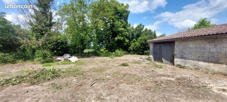 Grange en Pierre à Rénover sur Terrain de 1 600 m² – Vue Vignes
