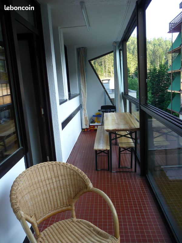 Location f3 aux pieds des pistes (image 8)