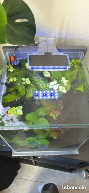 Aquarium complet équipé – prêt à l’emploi (Marseille) (image 3)