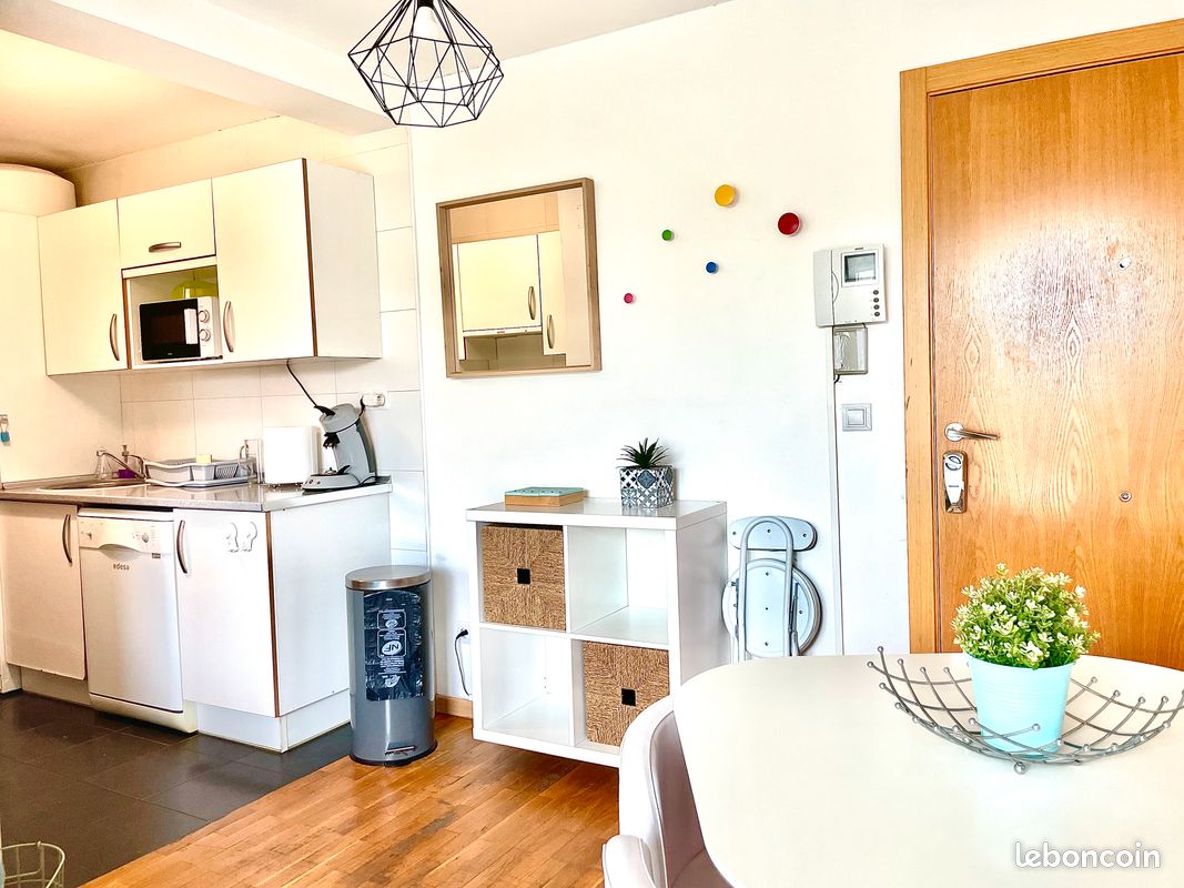 SANS FRAIS D’AGENCE T2 TERRASSE tout meublé pour 9 mois - Hendaye 64700 (image principale 8)