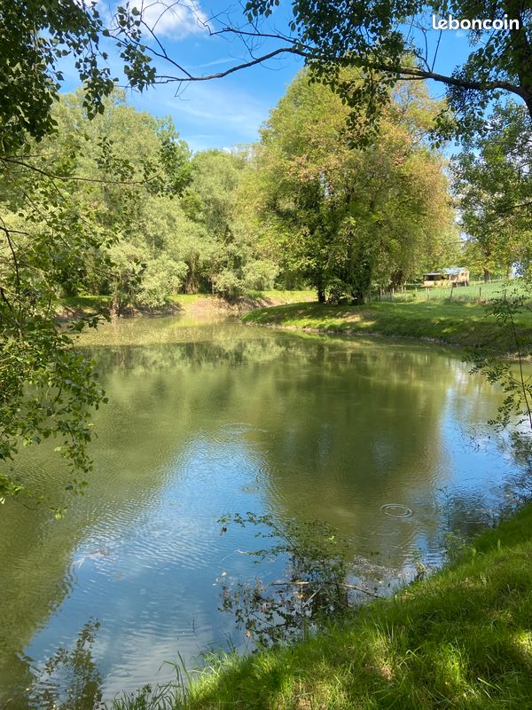 Terrain Etang avec maisonnette · à Charnizay · 33 000 €