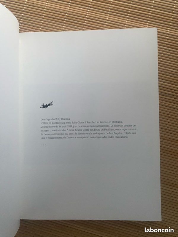 School spirit -pierre huyghe, douglas coupland , rencontre (image 5)