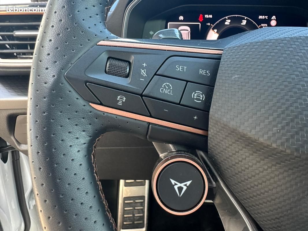 Cupra Formentor 2.0 TDI 150 ch DSG7 V (image 12)