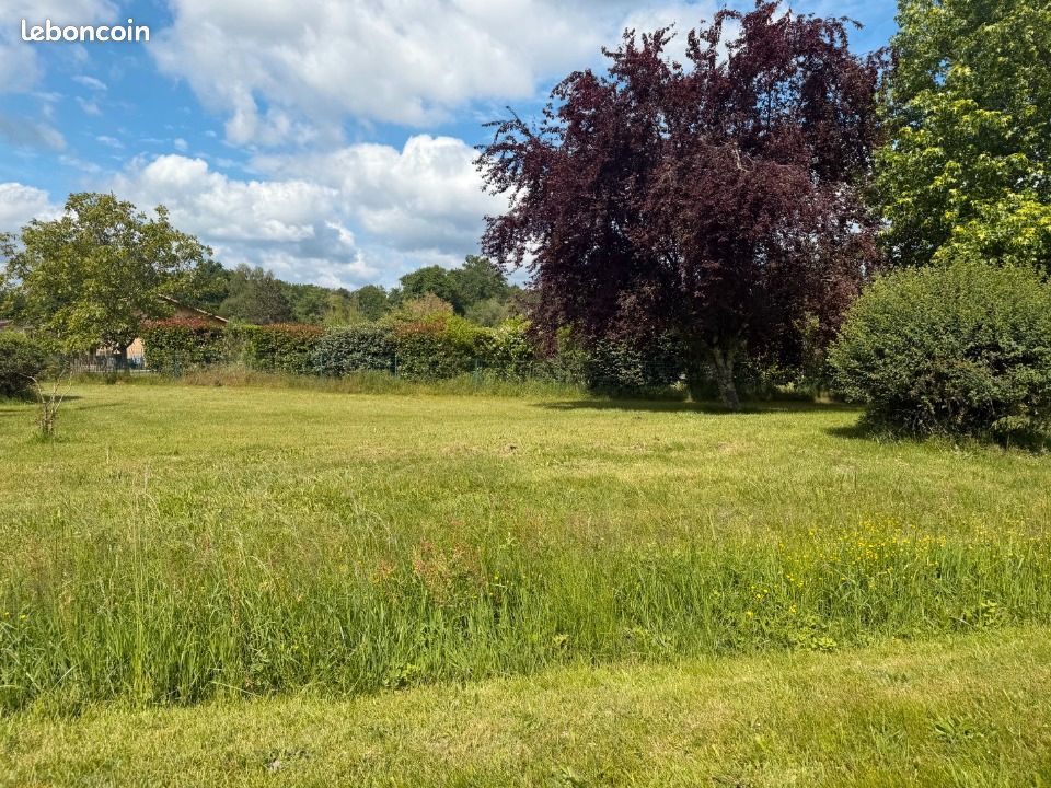 Terrain 600 m² Romagne · 81 600 €