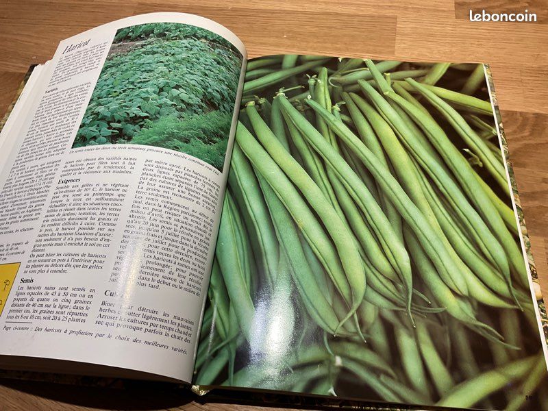 Le jardin potager , encyclopédie de l’amateur de jardins (image 8)