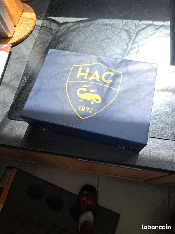 Logo Déco Foot HAC Le Havre – Imprimé En PLA Biodégradable, Idéal Fan