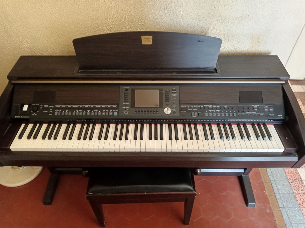 Piano numérique Roland GO : PIANO 88 - Sud Musique