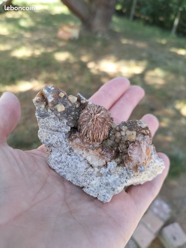 Minéraux français – Fluorite, baryte et quartz – Beaussais-Vitré (79) - France (image 3)