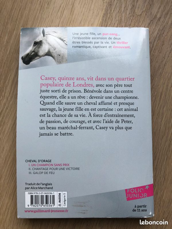 Cheval d'orage 1. Un champion sans prix - Lauren St John (image 2)