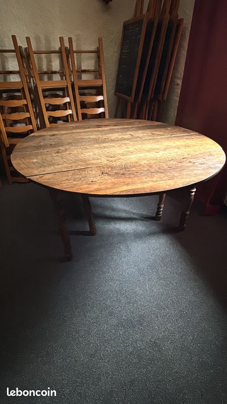 Table avec 4 ralonges 20 places (image 1)