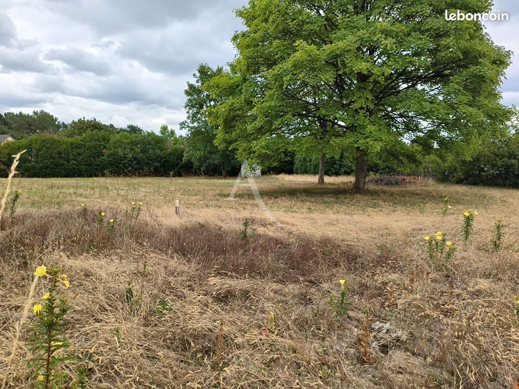 Terrain 765 m² · à Yvré-l'Évêque · 765 m² · 81 000 €