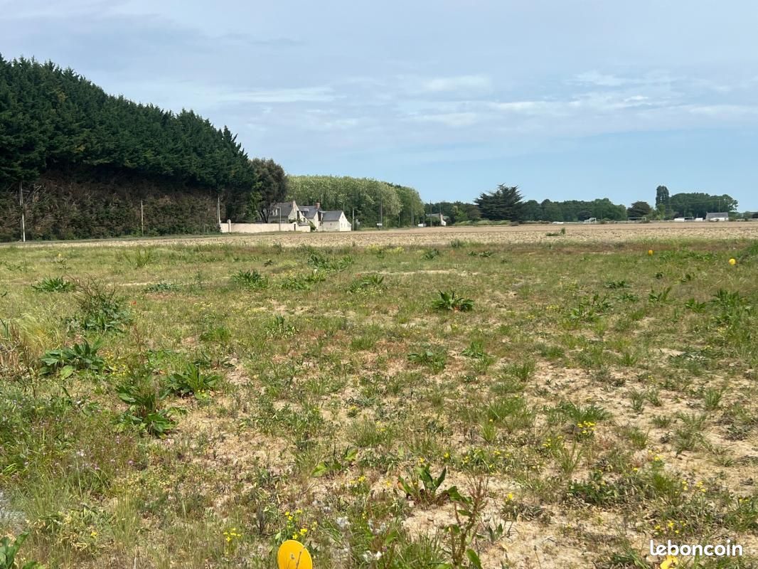 Terrain 520 m² Maze · à Mazé-Milon · 62 400 €