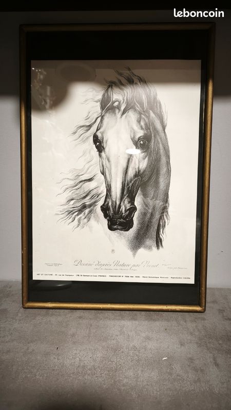 Carrousel D'aquarelle Avec Illustration De Chevaux Pour Enfants 676469 795