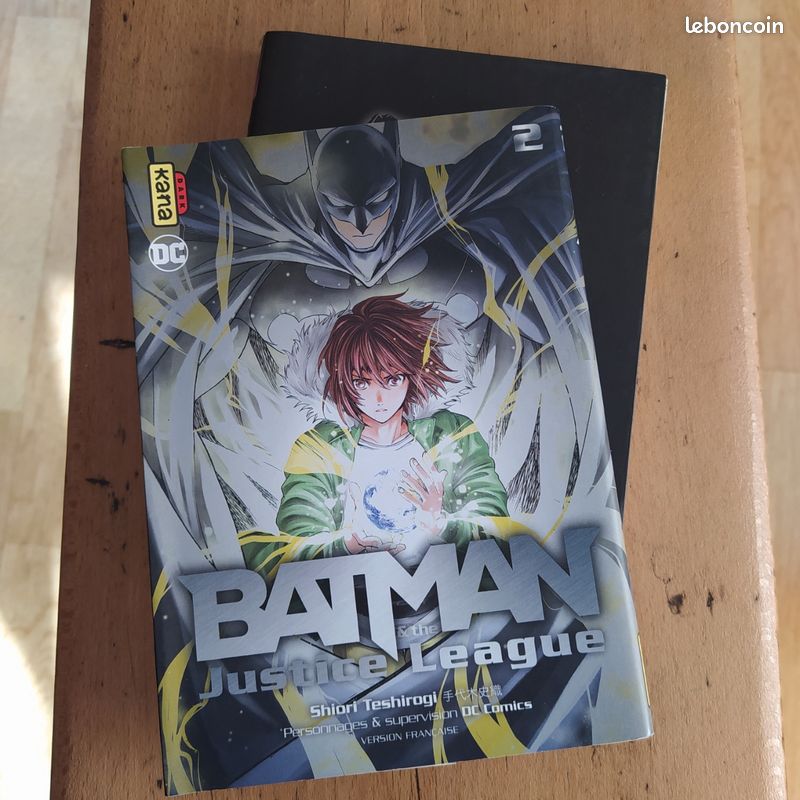 Batman and the justice league (image 4)