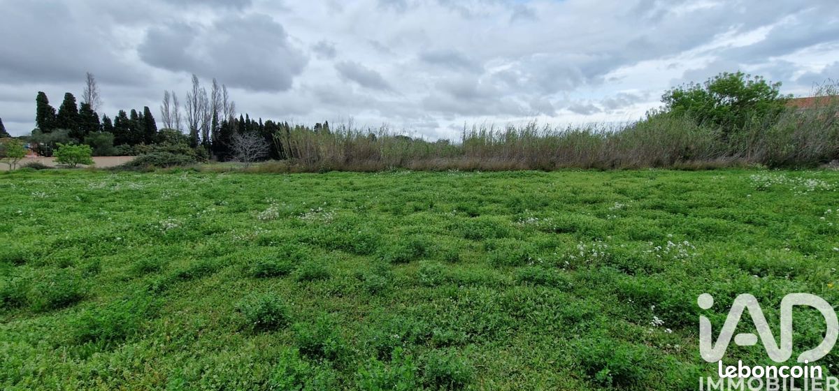 Terrain 329 m² Pézilla-la-Rivière (image 9)