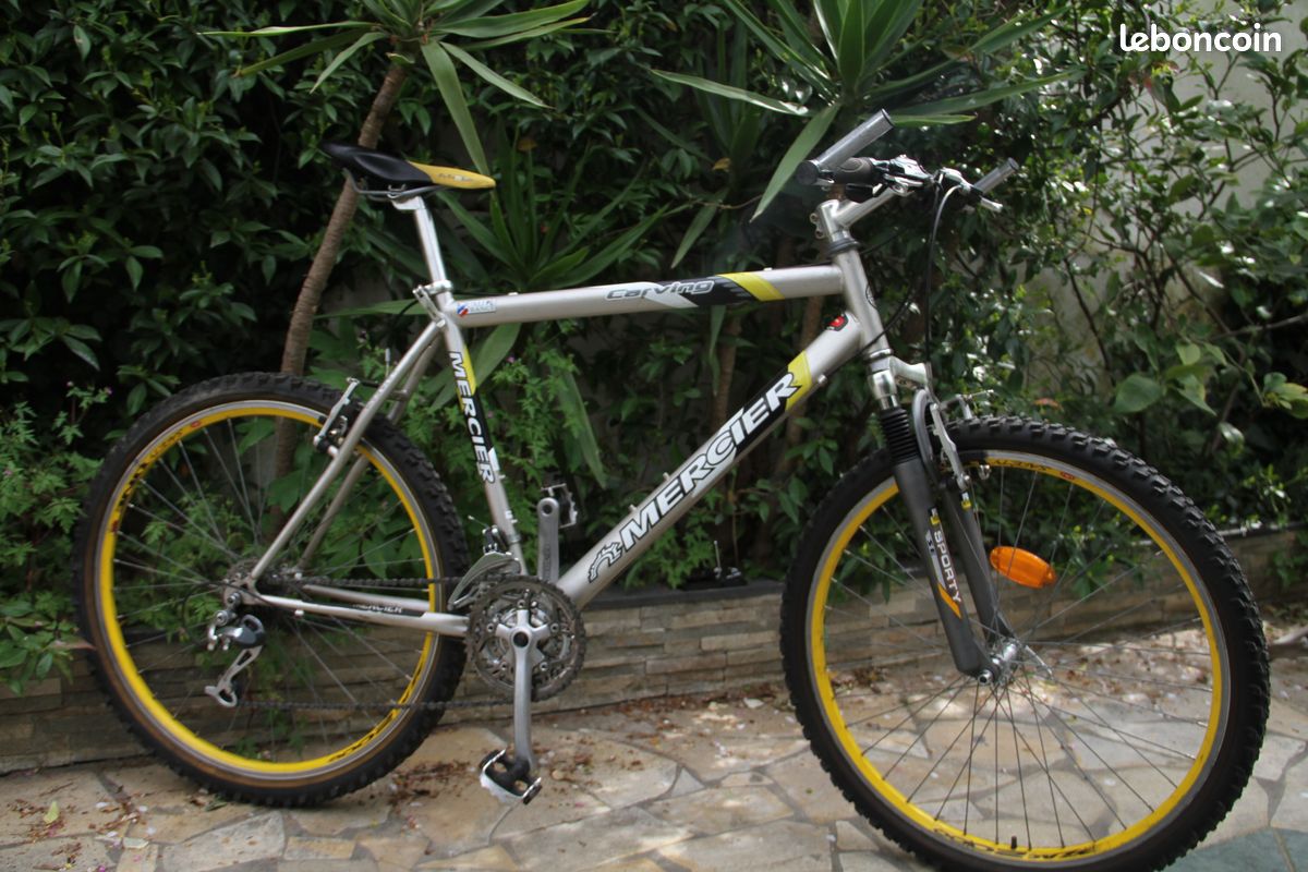 Bicycle VÃ©lo Bonelli Prix LC3B Antibody BSA Free (NB100-2220 - Main Image