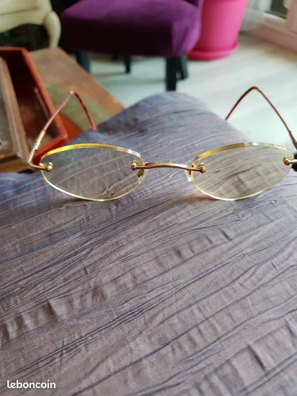 Lunettes fines branches souples (image 1)