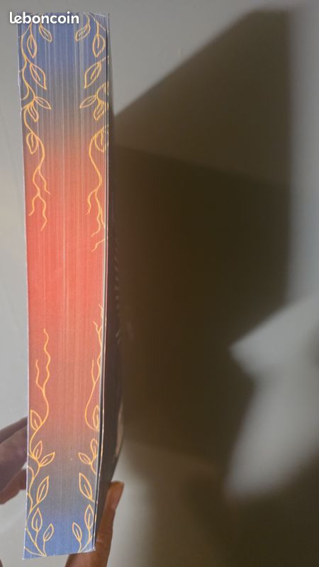 LIVRE Nos âmes consumées (image 4)