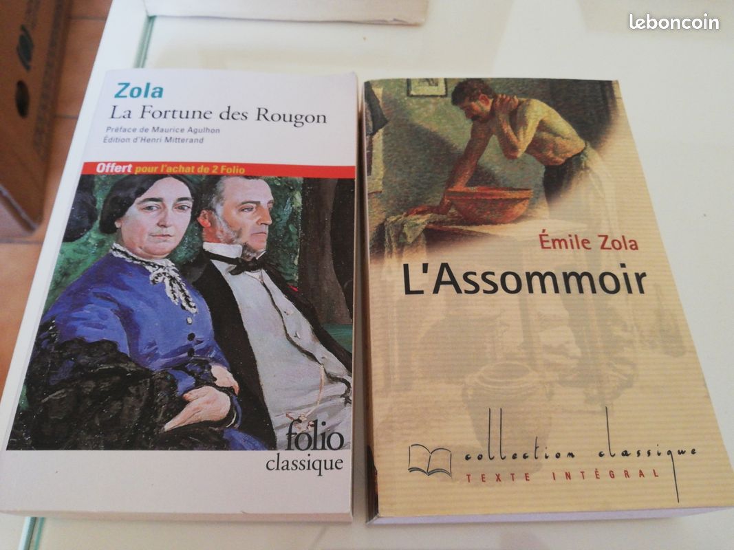 Lot de romans de Zola. L'assommoir /La Fortune des Rougon (image 1)