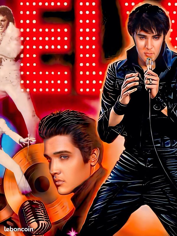 Rare Translite Flipper Elvis Prototype (image 2)