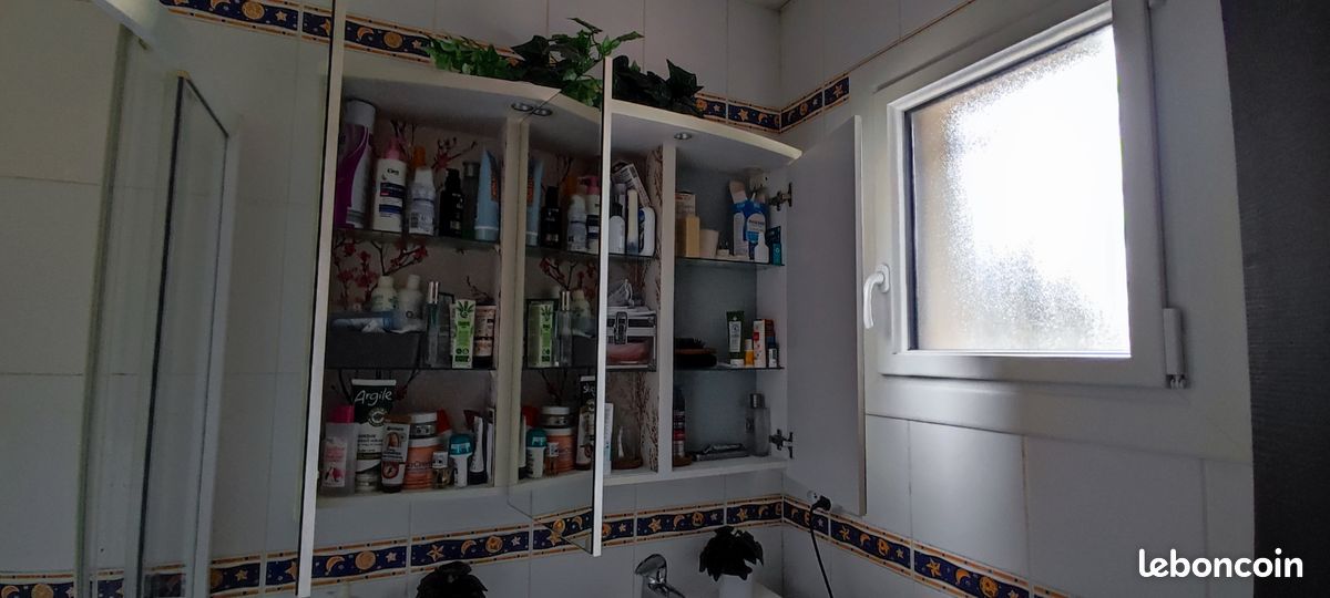 Meubles salle de bain (image 5)