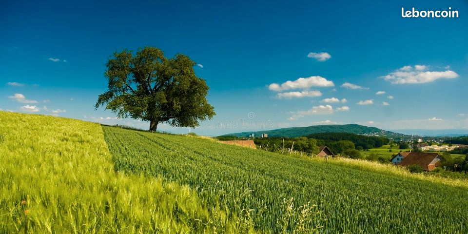Terrain 641 m² · à Beaumont-Louestault · 76 740 €