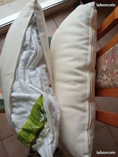 Lot de 2 coussins de canapé (image 3)