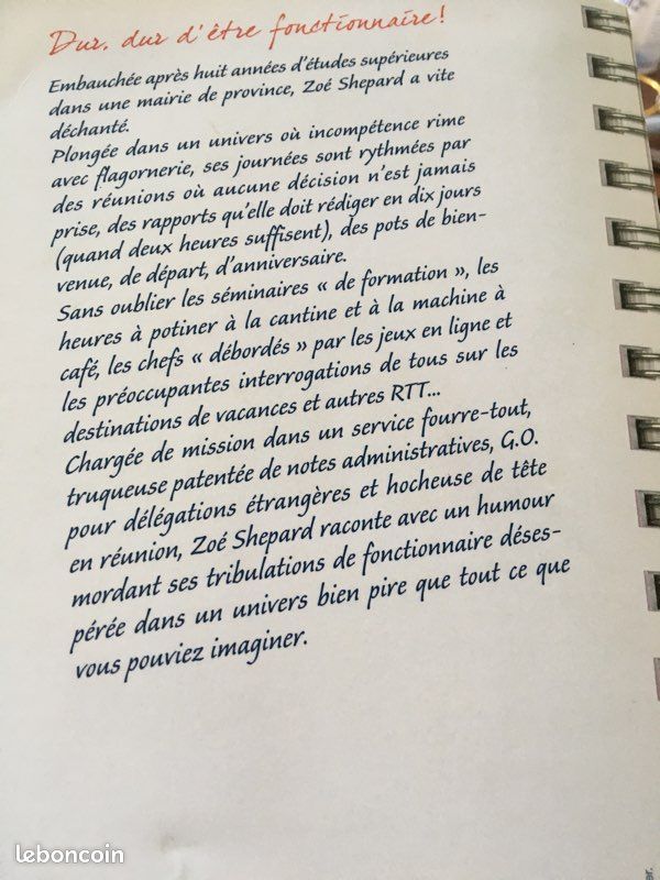Livre absolument débordée (image 2)