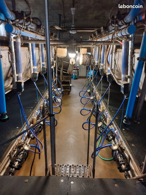 Salle de traite DeLaval (image 1)