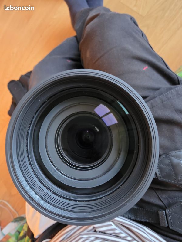 Téléobjectif zoom sigma 60-600 (image 6)