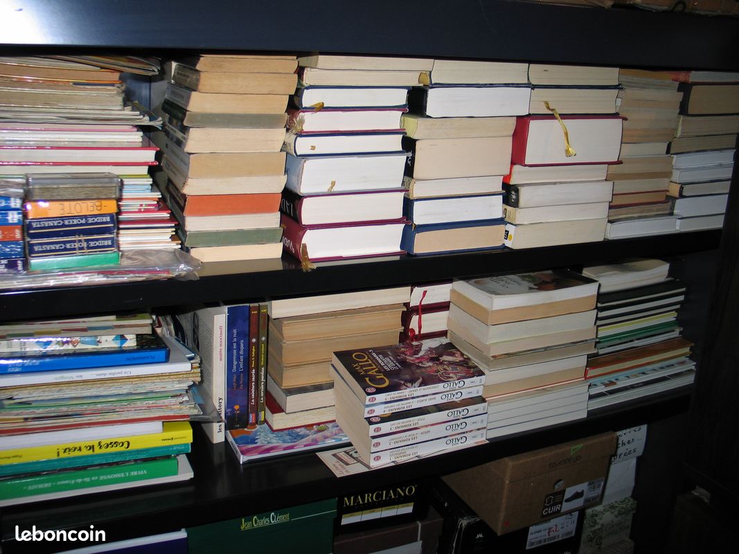Livres de philosophie et de psychologie appliquée (image 10)