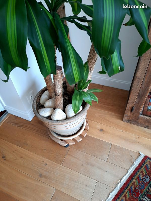 Galets de marbre blanc (image 2)