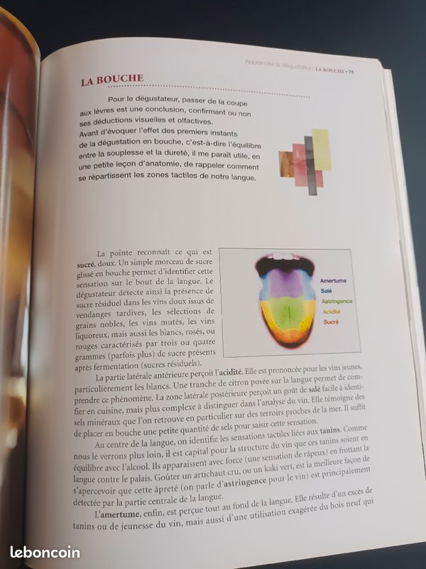 Savoir goûter le vin (image 2)