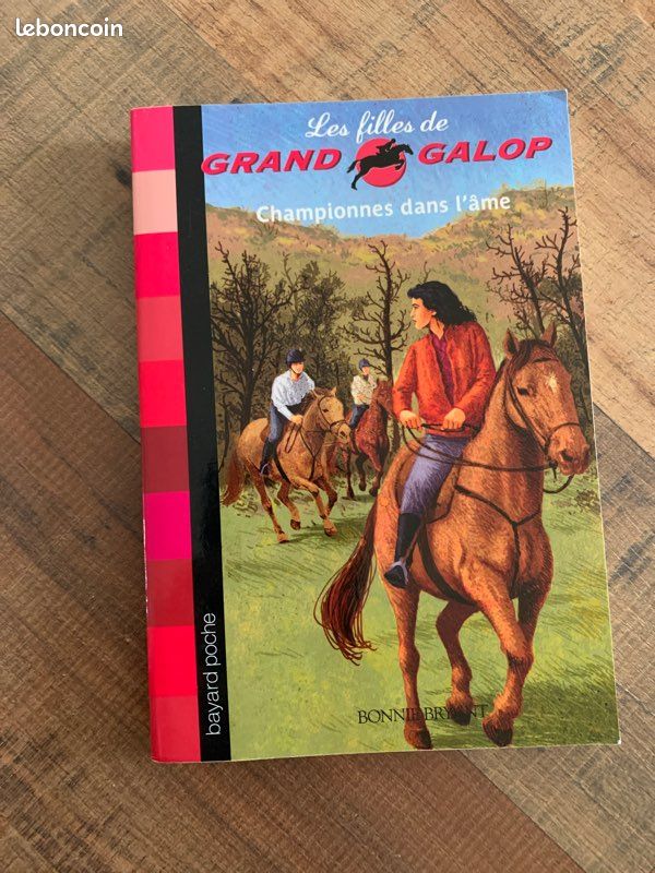 Livre les filles de grand galop 11 : championnes dans l’âme (image 2)