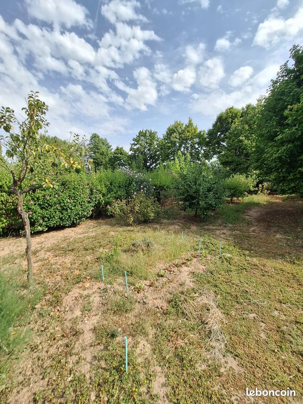 Vends jardin situé à Bonny sur Loire 1633 m2 + parcelle de bois 2285 m2 · à Bonny-sur-Loire · 13 000 €