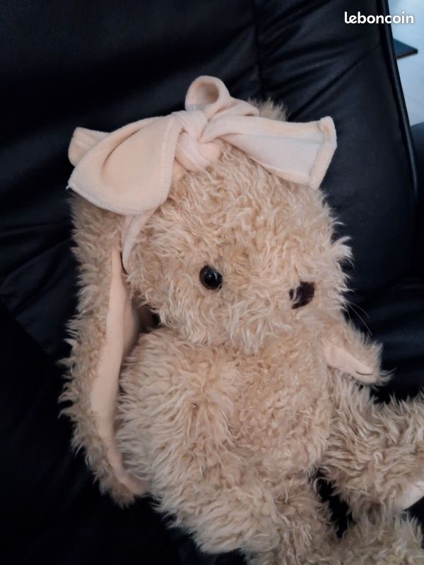 Lapin bukowski (image 4)