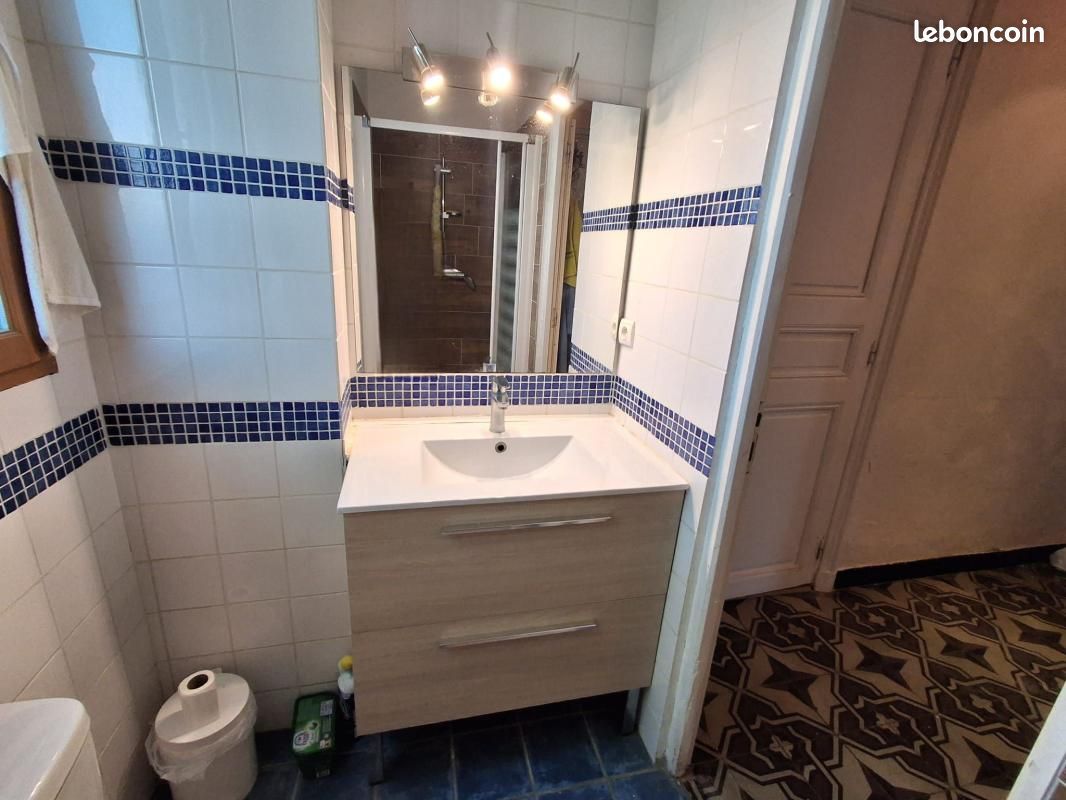 Maison de ville 8 pièces 287 m² (image 16)