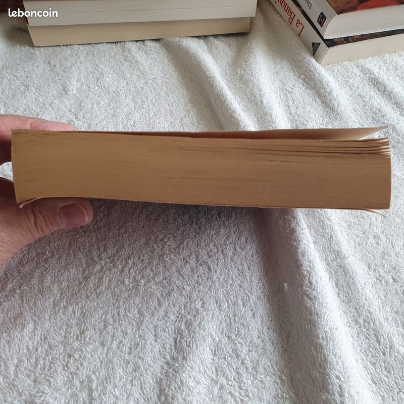 Livre Les cendres d'Angela une enfance irlandaise roman (image 7)