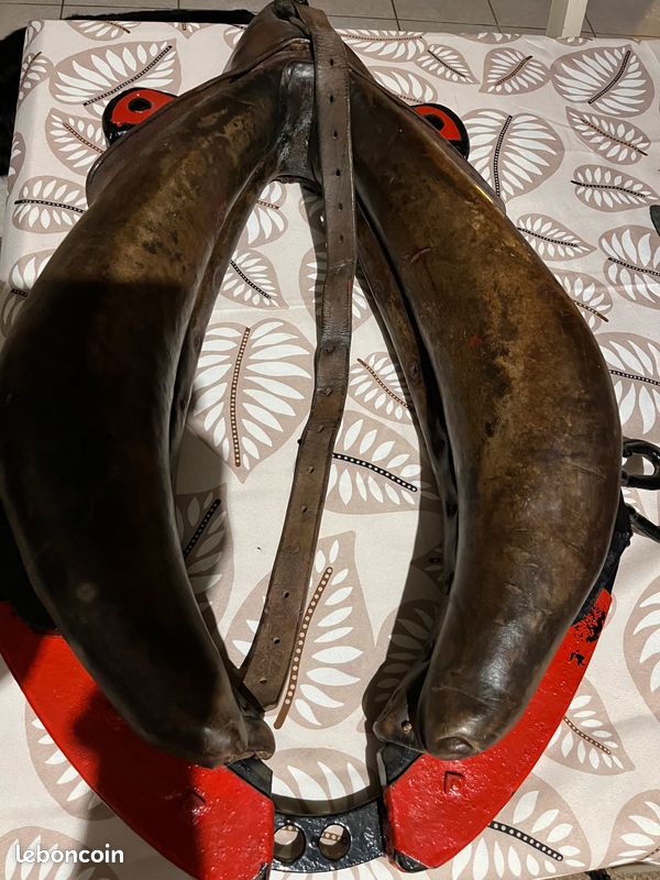 Cheval ancien d'occasion - Collection