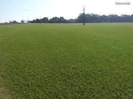 Terrain 30000 m2 · à Hagetmau · 45 000 €
