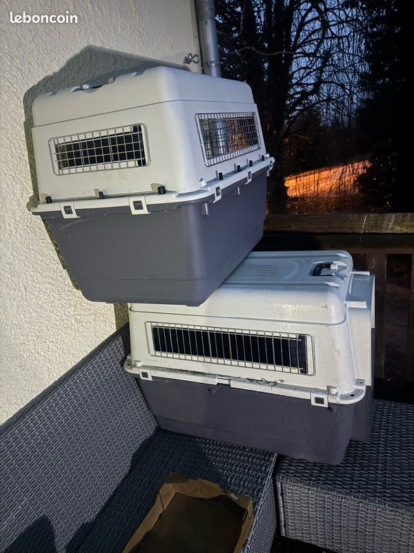 Caisse chien xl (image 1)