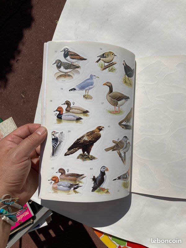 Livre « Autocollants Nature » - Oiseaux (image 10)