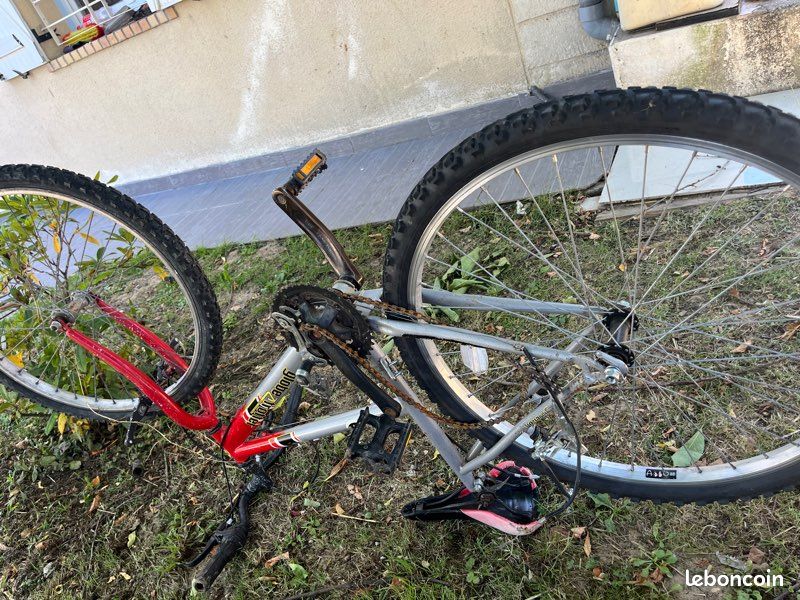 3 vélos (image 1)