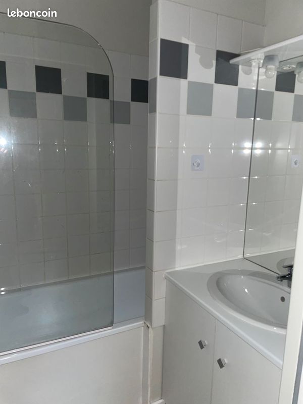 Appartement 3 pièces 52 m² - Limoges 87000 (image principale 4)