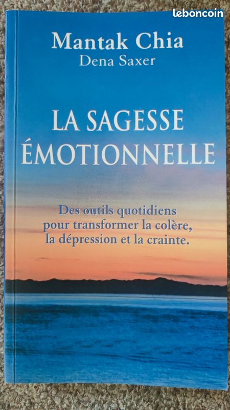 La sagesse émotionnelle (image 1)
